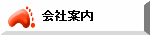 会社情報 会社情報