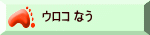 ウロコと築地の今をお伝えします ウロコ なう